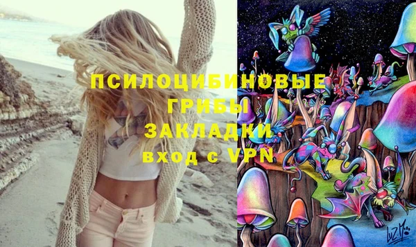 тгк Верхний Тагил