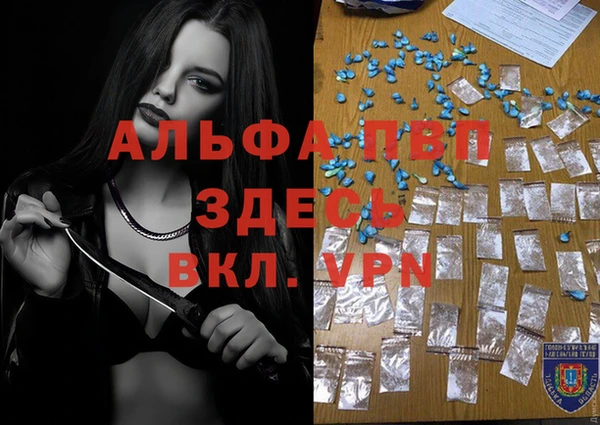 мдпв Верея