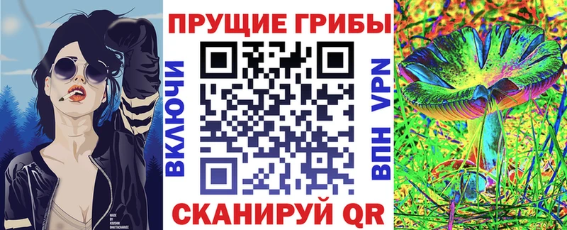 Псилоцибиновые грибы прущие грибы  mega как войти  Зуевка 