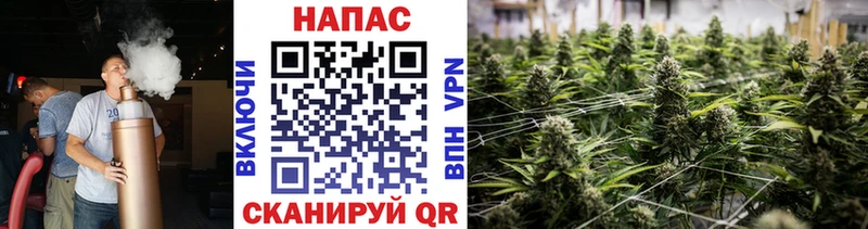 МАРИХУАНА White Widow  продажа наркотиков  Зуевка 